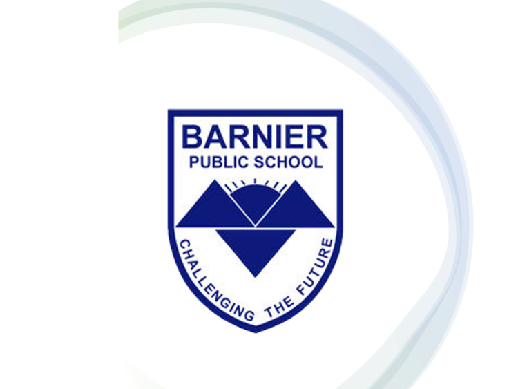 school logo with ribbon in back ground