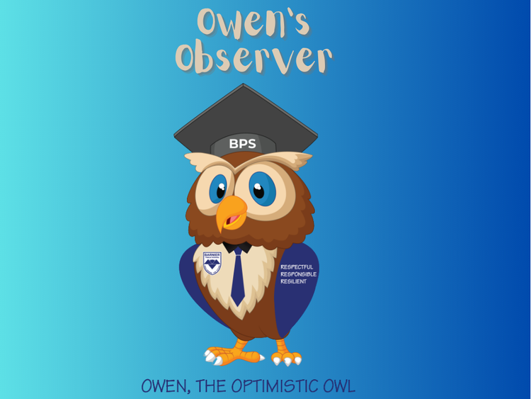 Owen's observer owl image, school newsletter