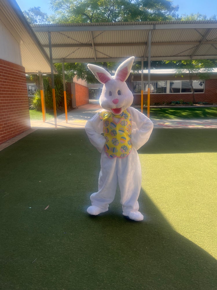 Easter bunny costume